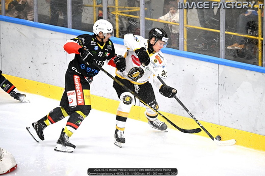 2024-10-19 Mastini Varese-Hockey Feltre 01063 Dennis Perino
